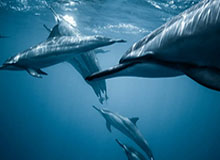 华体会体育-Xingkong——点亮你的星空梦想